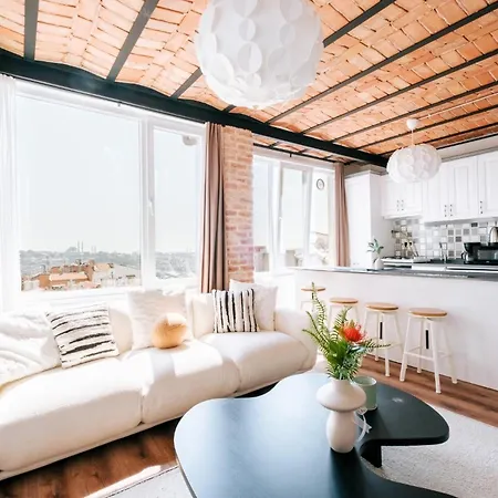 Luxury Flat Next To Galata And Metro W View